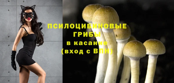 мяу мяу кристалл Липки