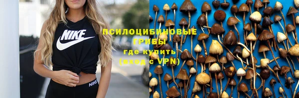 хмурый Лиски