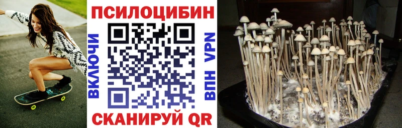 как найти закладки  KRAKEN ONION  Галлюциногенные грибы Psilocybine cubensis  Межгорье 