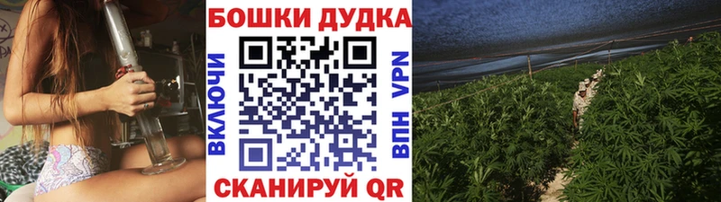 Марихуана гибрид  Межгорье 